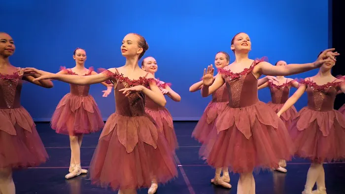 Georgia Dance Conservatory Picture 10