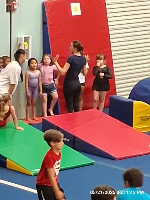 Precision South Gymnastics Picture 3
