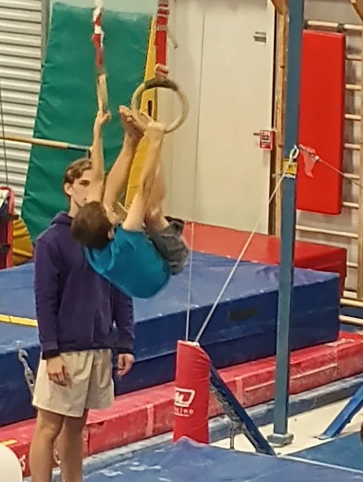 Precision South Gymnastics Picture 10