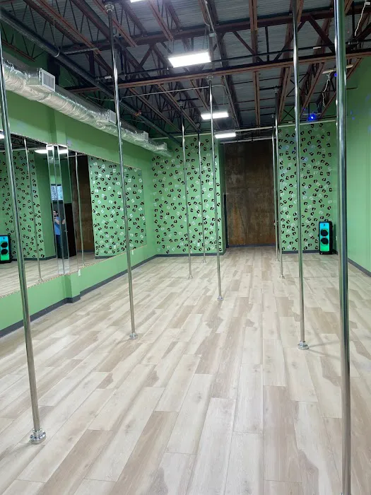 Spicy Studios Picture 2
