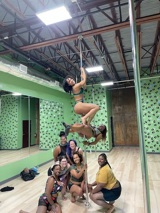 Spicy Studios Picture 3
