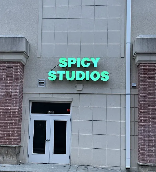 Spicy Studios Picture 5