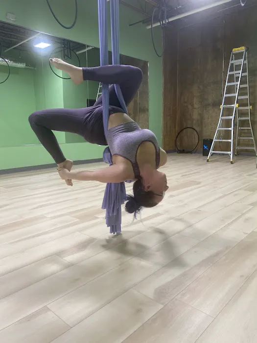 Spicy Studios Picture 9