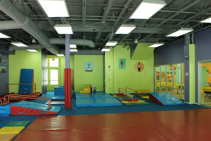 The Little Gym of Smyrna Picture 5