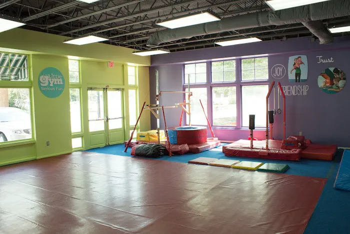 The Little Gym of Smyrna Picture 6