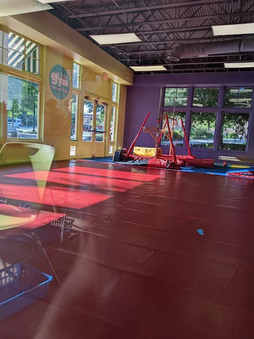 The Little Gym of Smyrna Picture 10