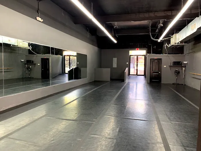 Fit N Flirty Dance Studio Picture 2