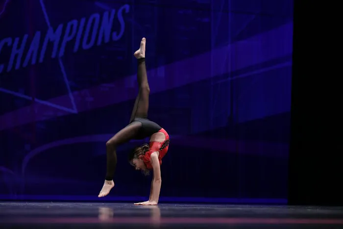 CK DanceWorks, Inc. Picture 8