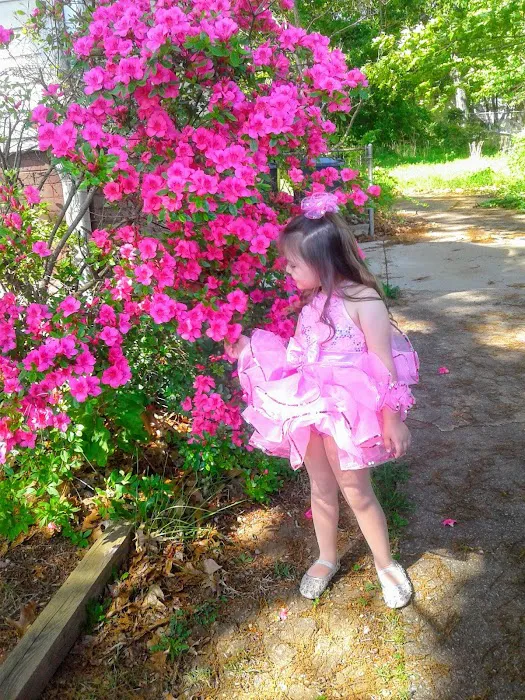 Heather's Dance Academy Picture 4