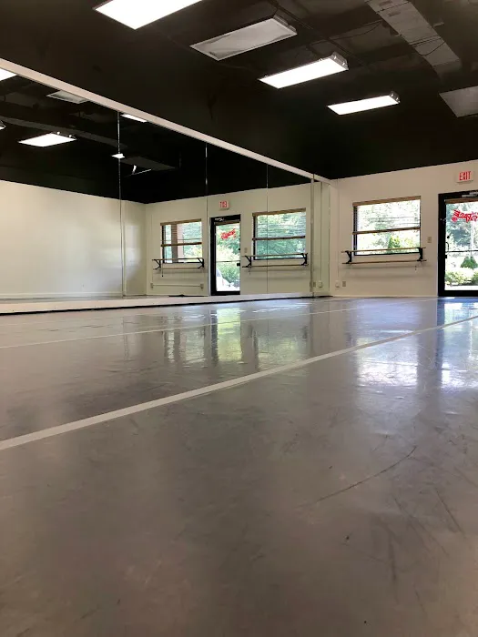 The Space at Project Dance Picture 1