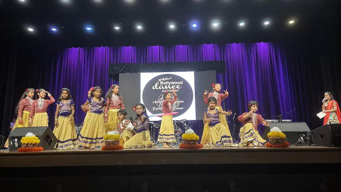 Nikita's Bollywood DANCE Academy Picture 3