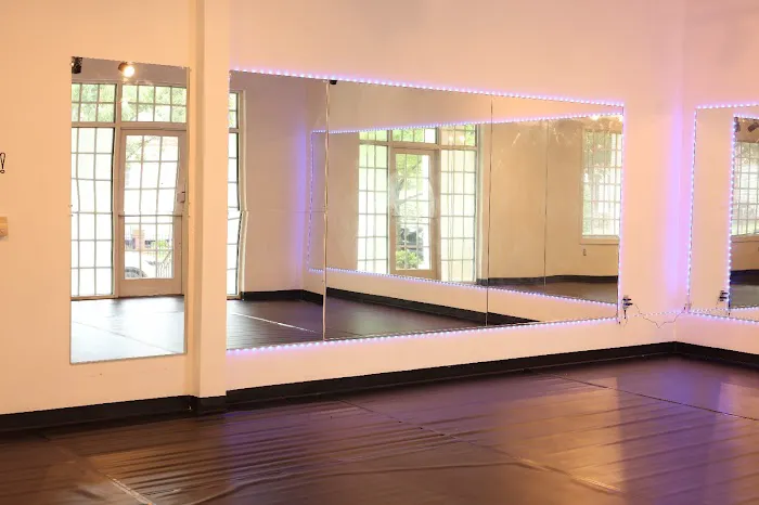 Nikita's Bollywood DANCE Academy Picture 5