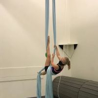 Durham School for Ballet & the Performing Arts ico