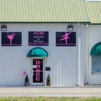 Artistry In Motion Performing Arts Center ico