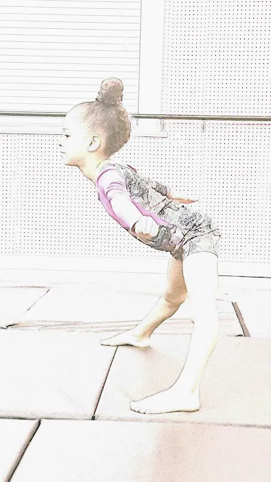 Artistry In Motion Performing Arts Center Picture 4