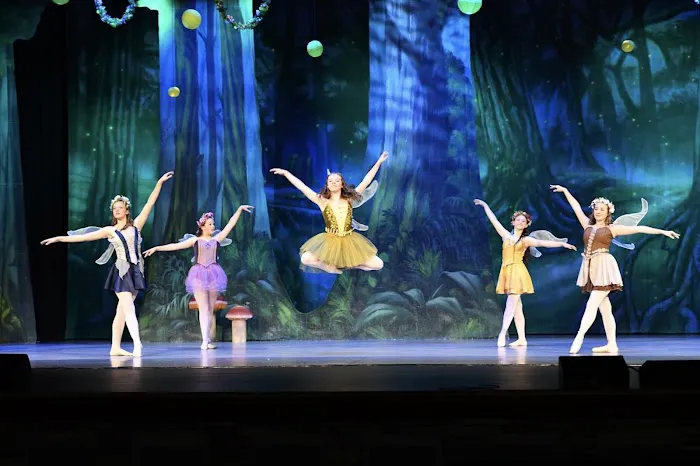 The Dance Arts Co-Op Picture 1
