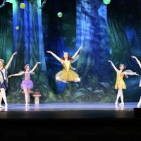 The Dance Arts Co-Op ico