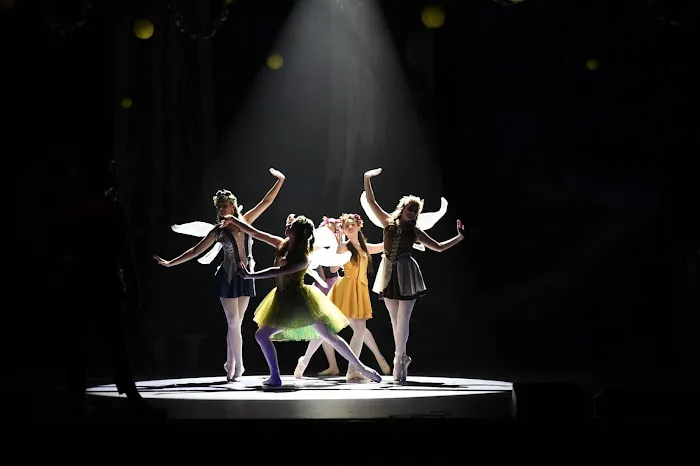 The Dance Arts Co-Op Picture 3