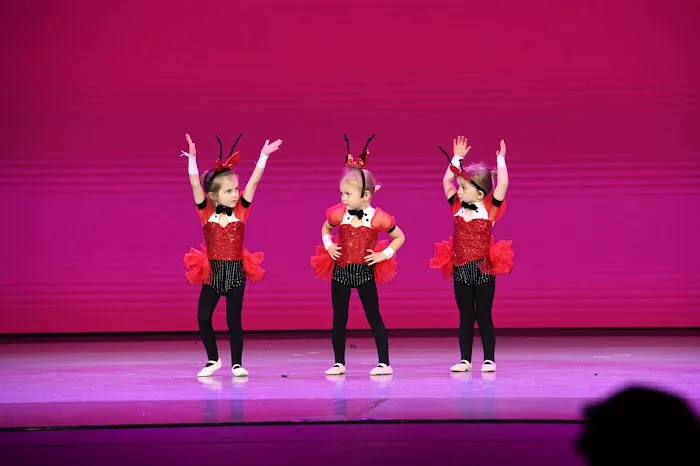 The Dance Arts Co-Op Picture 7