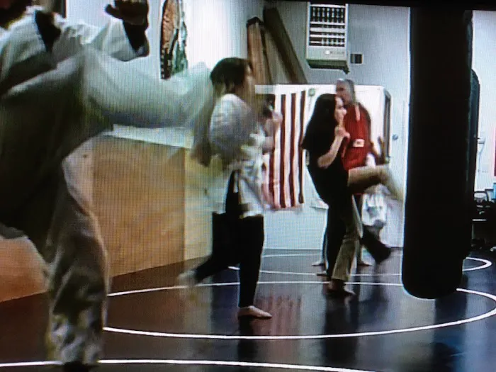 Dance and Karate Express Picture 1