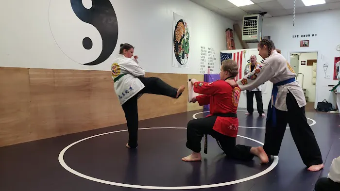 Dance and Karate Express Picture 2