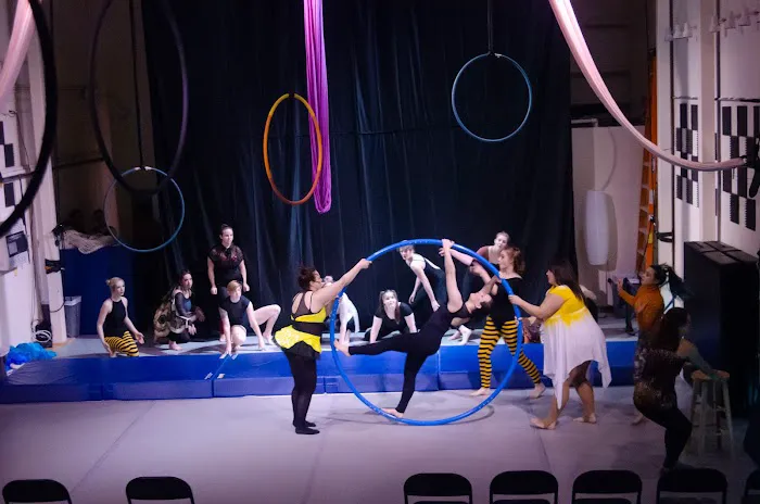 Night Owl Circus Arts South Picture 3