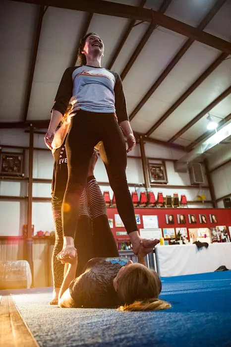 Night Owl Circus Arts South Picture 8