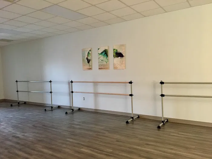 Art in Motion Dance Studio Picture 8