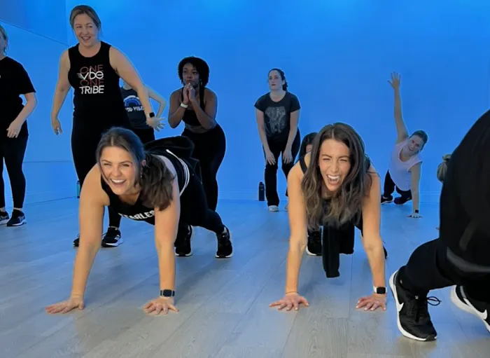 Vibe Fitness, Inc. Picture 7