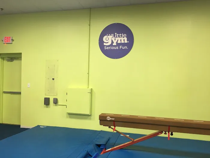 The Little Gym of Alpharetta/Johns Creek Picture 7