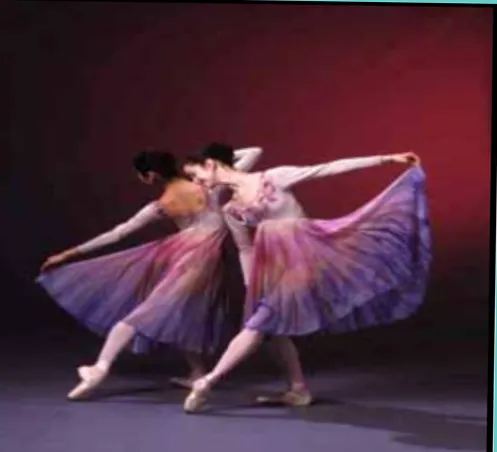 The Bush Centre for Ballet Picture 3