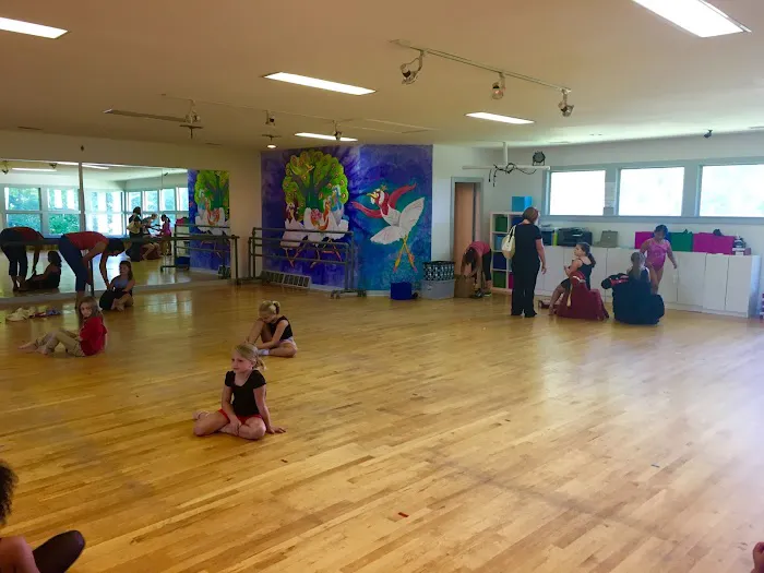 Invitation to Dance Picture 3