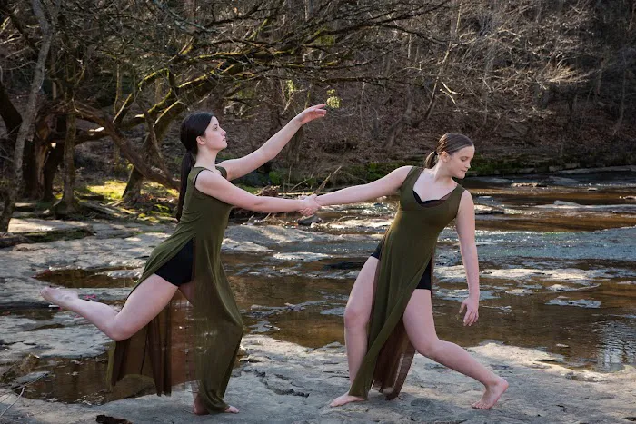 Ambo Dance Theatre and School Picture 6