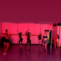 Pol'e Dance Studio ico
