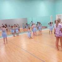 Vision Dance Center ico