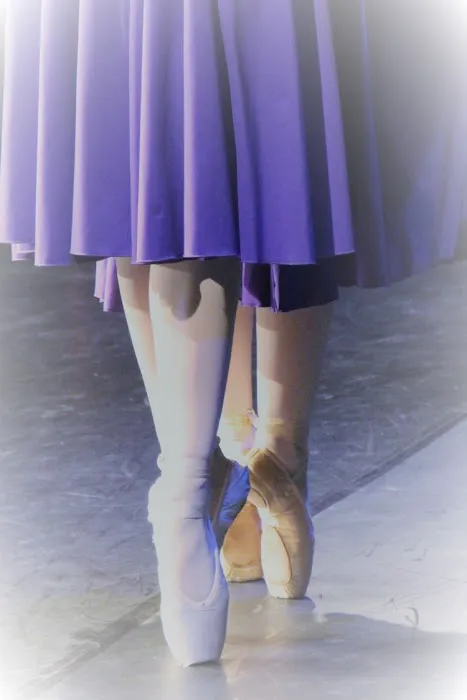 KY Repertory Dance Theatre Picture 2