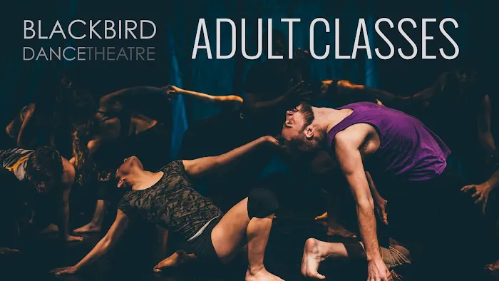 Blackbird Dance Theatre Picture 10