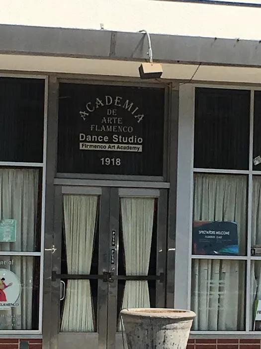 Academia De Arte Flamenco Picture 4