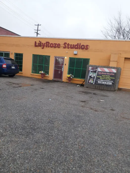 Lily Roze Studio Picture 1