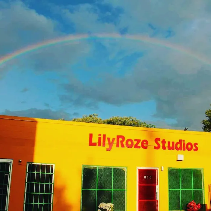 Lily Roze Studio Picture 5