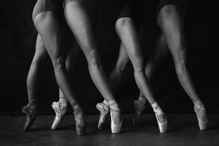 Ballet San Antonio Picture 7