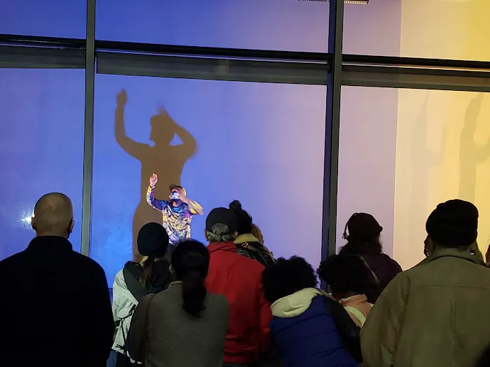 Brooklyn Ballet Picture 3
