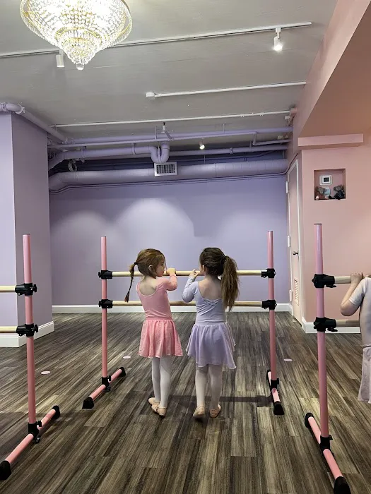 Tutu School Dumbo Picture 7