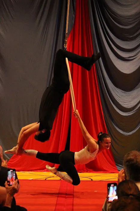 STREB, Inc Picture 2