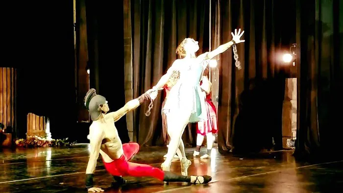 American Liberty Ballet School Picture 5