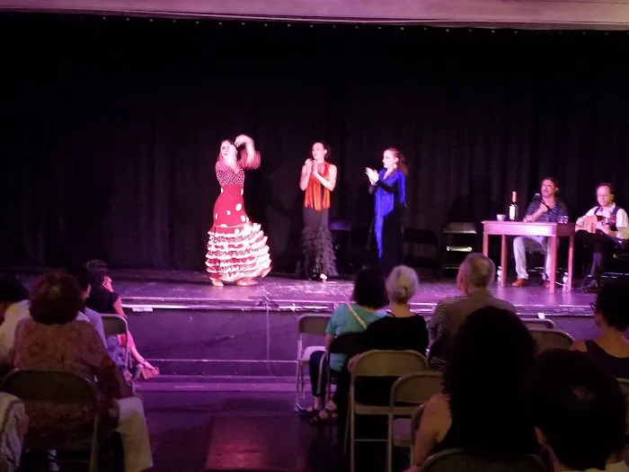 Creative Cultural Center, Arts Flamenco, St. Veronica Picture 5