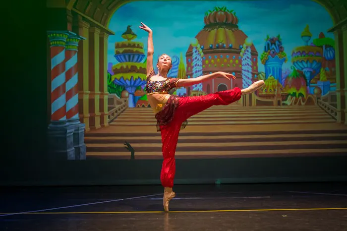 Cobble Hill Ballet Picture 4