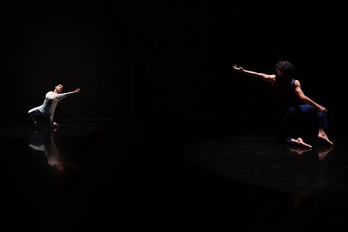 Earl Mosley's Diversity of Dance Inc Picture 4