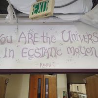 Denver Ecstatic Dance ico