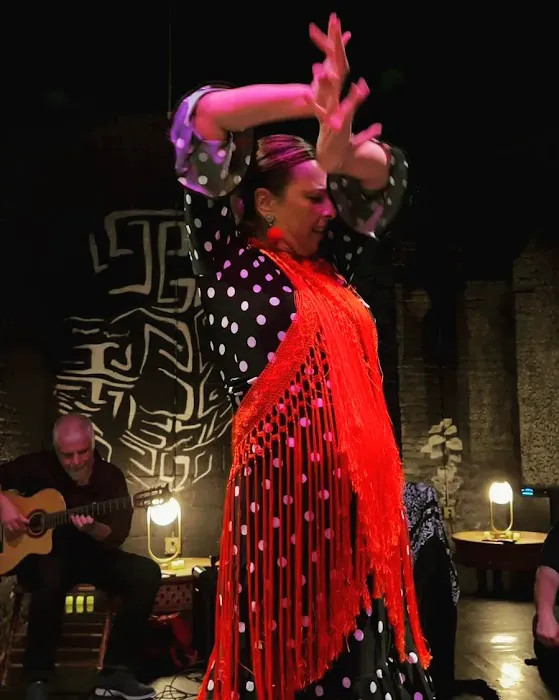 Cadencia Dancers Flamenco classes Picture 4